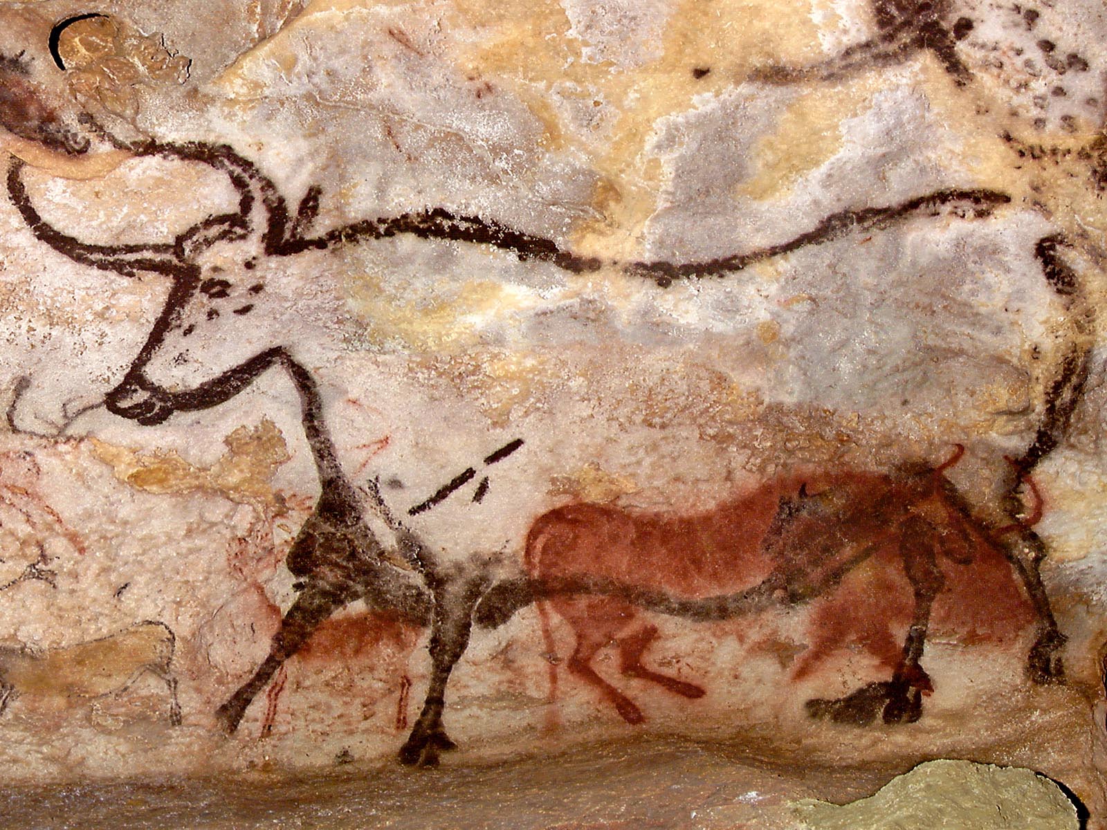 Figura 1. Detalhe do teto: touro e cavalos, Caverna de Lascaux