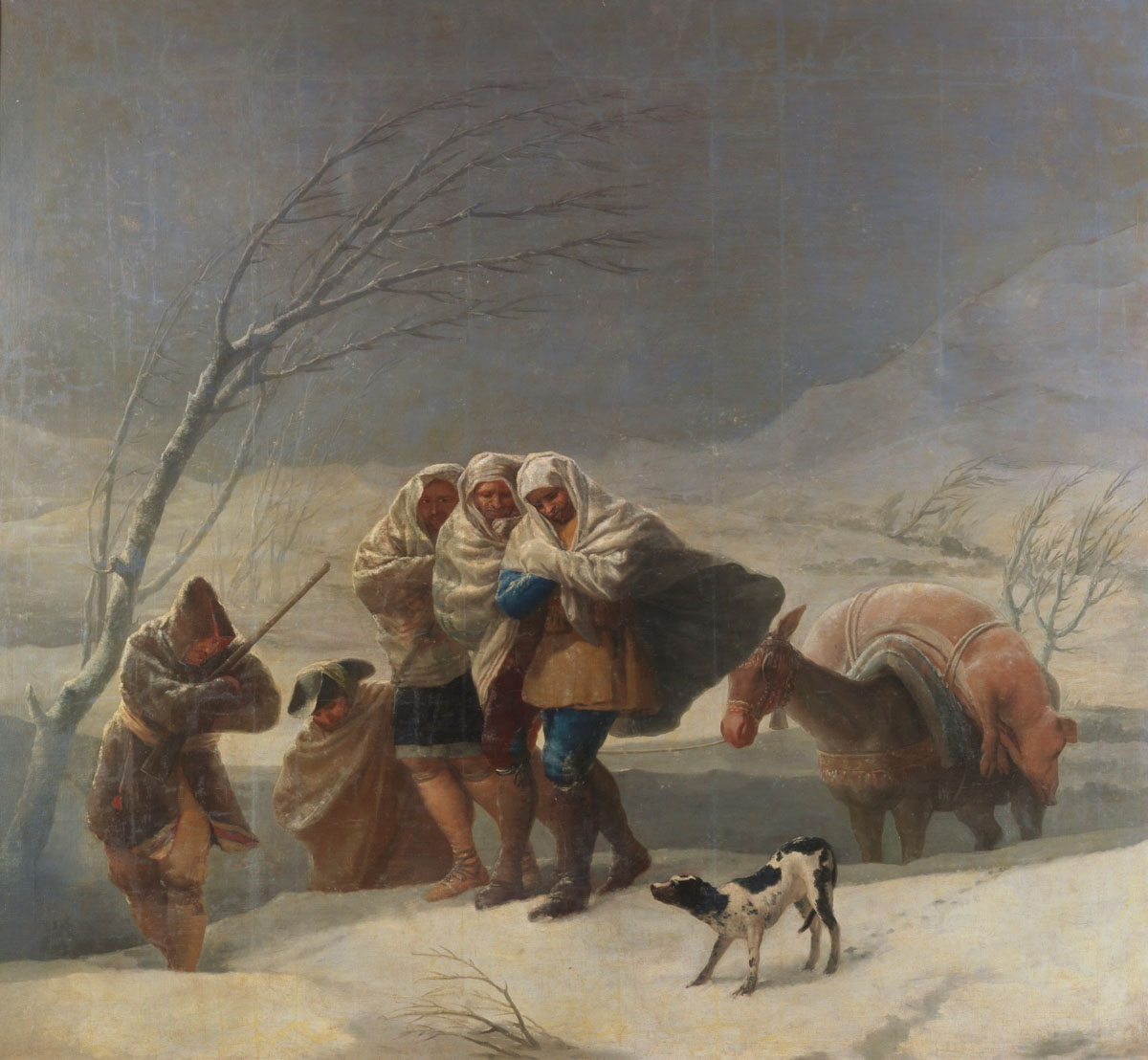 Figure 4. Goya, A nevada.